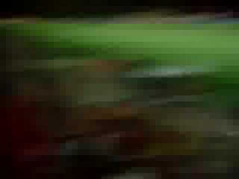 Gol de Fumagalli(sport 4 x 1 santos)