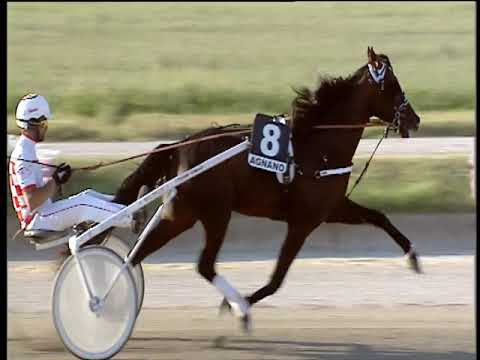 Trotto 20/06/2019 - 6ª corsa