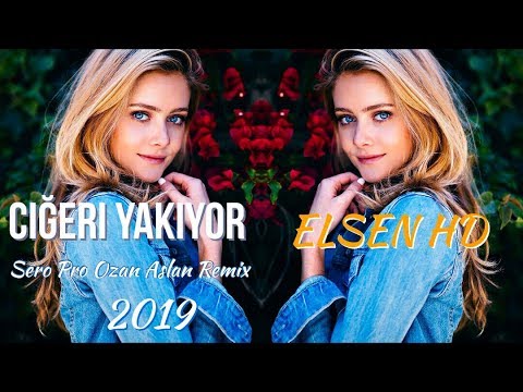 Seda Zenli - Ciğeri Yakıyor / Cover ( Ozan Aslan ft. Sero Pro Remix ) 2019