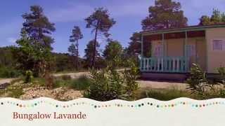 Camping Le Lavandin Camping Le Lavandin - Camping Alpes-de-Haute-Provence - Image N°2