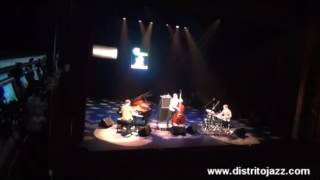 GoGo Penguin: 'Garden dog barbecue'