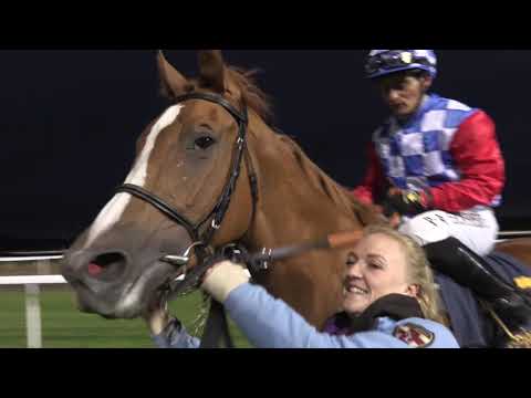 Breeders Trophy Juvenile 2019 Ascot Brass