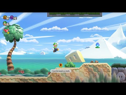 Sunburn in the Flooded Ruins - Mario Wonder custom level