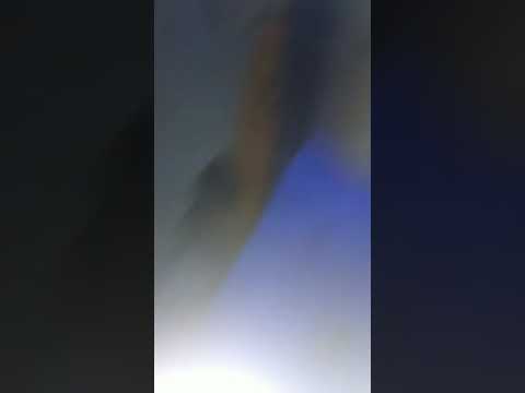 SAVEIRO DO ALEX (MANINHO) O PAREDÃO