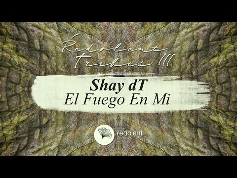 Shay dT - El Fuego en Mi (Original Mix) Redolent Music