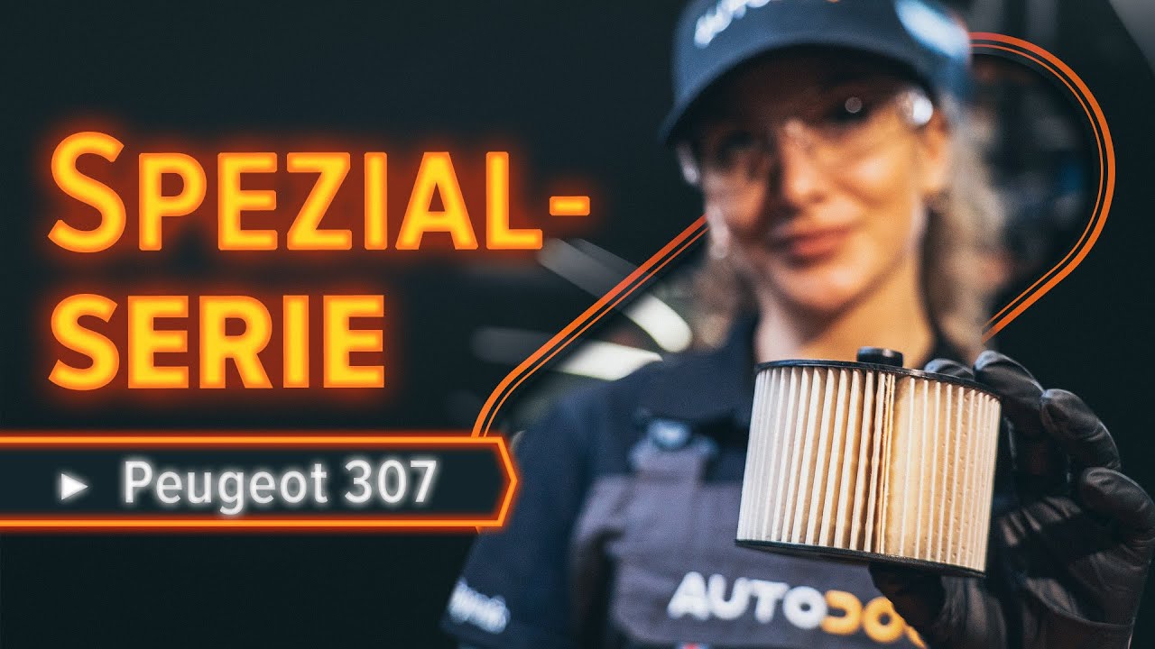 Wie Peugeot 307 SW Kraftstofffilter wechseln - Anleitung