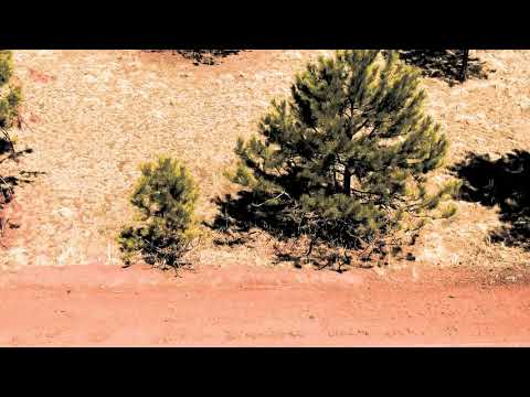 21-011; 1032 Chateau West Dr., Florissant, CO