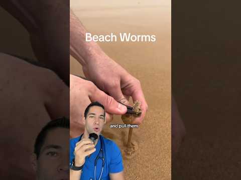 Doctor Reacts: sand worms on the beach?!