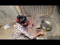 Village Cooking Vlog Indian Village Life
