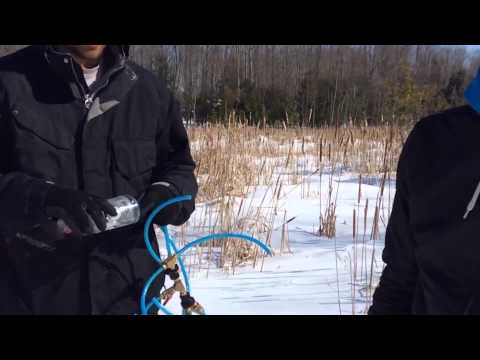 Behind the Scenes with Marks Basement Records  | The Fierce Collective - Gatorade