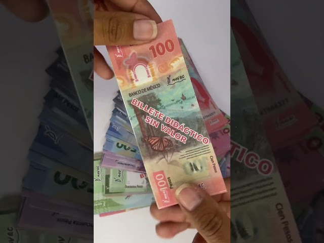 Vídeo relacionado con Pack 175 Hojas de Dinero de Juguete para Juego de Tienda - Todos los Modelos - 25x 5/10/20/50/100/200/500