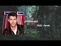 Nick Jonas - Wilderness  Lyric