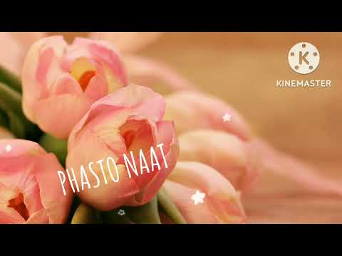 faqir#muhmmad#darwaish,best🥰🥰phasto,naat.......