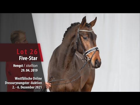 Online Dressuryoungster-Auktion Lot 26 Five-Star Hengst v. Fürst Samarant - Rock Forever I