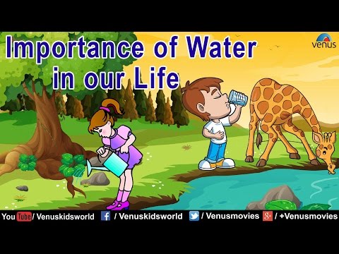 Importance of Water in our Life