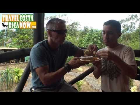 Ceviche - Costa Rica Recipe the Secret in Ginger Ale