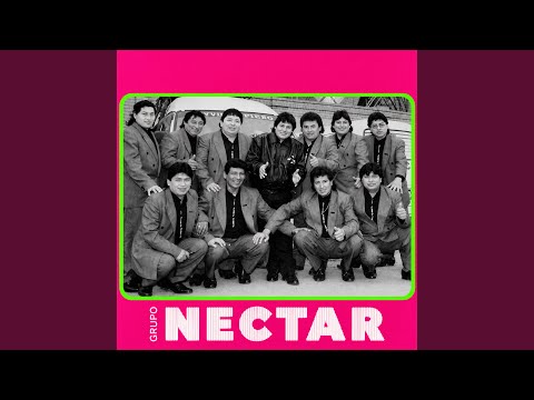 Cumbia Nectar