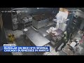 VIDEO Chicago Police Searching For Suspect In Smash And Grab Burglaries On South Side