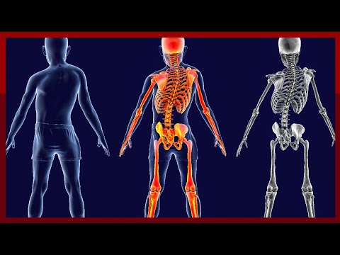 Treating Complex Spine Disorders: State of the Art Solutions