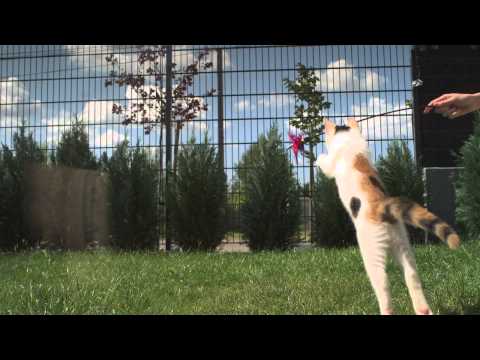 Juvelen - For Only U