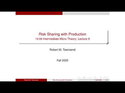 Lecture 9: Risk-Sharing with Production