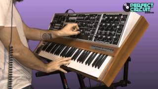 Video thumbnail for Moog Memorymoog Vintage Analog Synthesizer Overview by Perfect Circuit