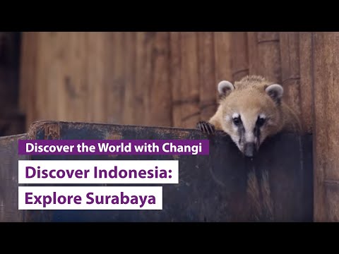 Discover Indonesia: Surabaya
