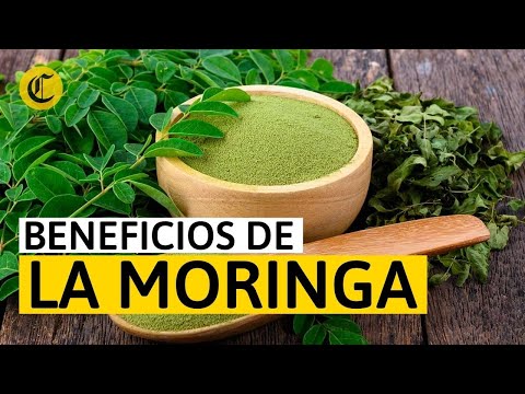 BENEFICIOS de la MORINGA: ¿Para qué sirve y cómo se toma?
