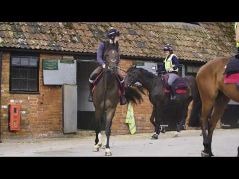 Ditcheat Thoroughbreds Racehorse Syndicate Orbasa introduced by Paul Nicholls