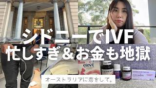 シドニーでIVF（体外受精）｜病院通いと高額医療費の現実