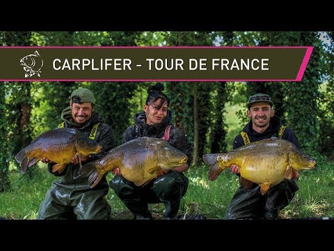French Carp Fishing - Tour De France