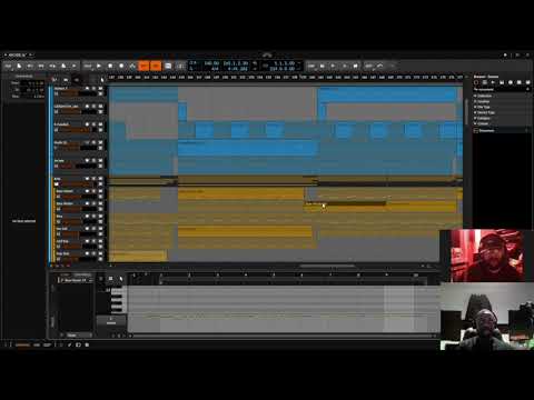 Silkie and Cimm talking 'Panorama' production