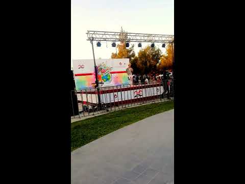 Berke Sayın - What Do You Mean? (LIVE in CIU SPRING FESTIVAL 2017)