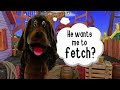 Every Time We Hear Wags Thoughts Wiggles TV Series 2