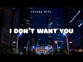 Riton & RAYE - I Don't Want You (Lyrics)