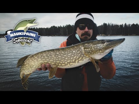 HAUKIPAINI SPECIAL - "XO" | Hauen perhokalastusta keväällä