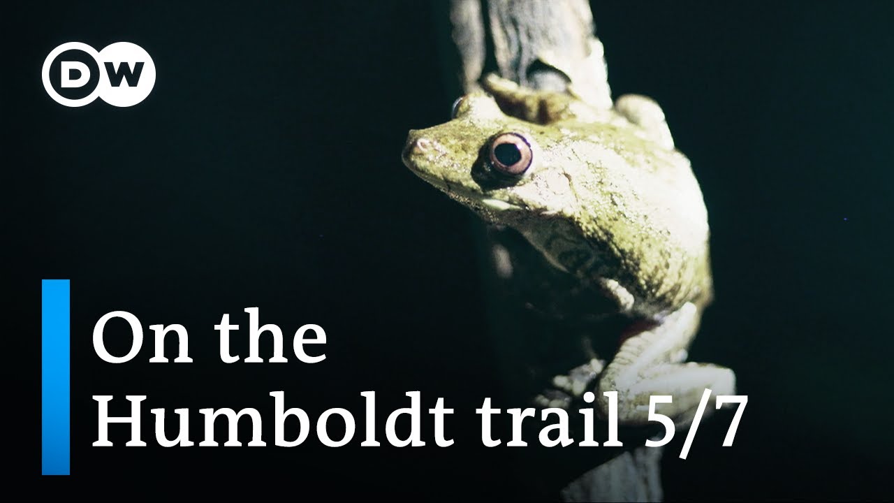 Humboldt discovers biodiversity in the Orinoco basin — Part 5