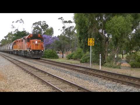 LZ3119&LZ3120 haul loaded grain train at Northam
