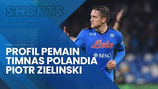 Profil Piotr Zielinski: Gelandang Serang Timnas Polandia di Piala Dunia 2022, Raja Assist Napoli
