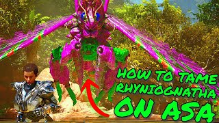 How To FIND and TAME RHYNIOGNATHA on Ark Survival Ascended! ASA Tips and Tricks