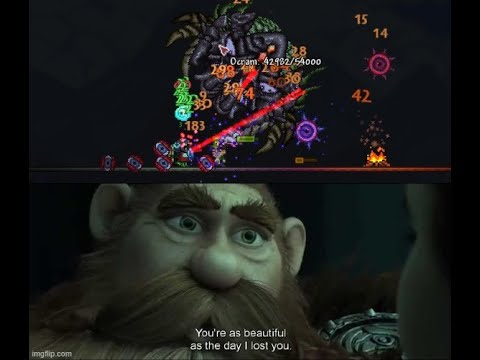 Average Consolaria experience