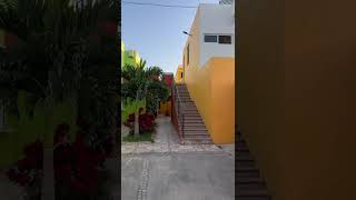 Renta de Departamentos en la Alameda