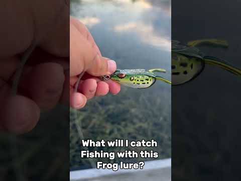 What will I catch fishing with this frog lure🤩