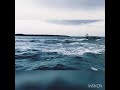 Rameswaram Fisherman Status