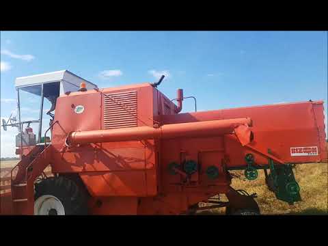 Ciężkie koszenie grochu  2020