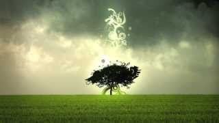 Rameses B &amp; Laura Brehm - Transformations