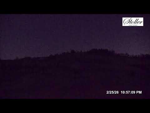 Stoller Family Estate