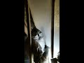Ice blasting in Prospect Heights, IL