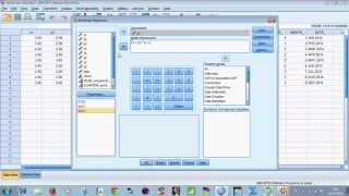 Non Linier Regression With SPSS