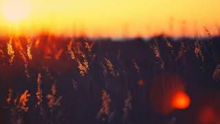 Download lagu Melodic Progressive House mix Vol 22 (Into The Sunset) mp3